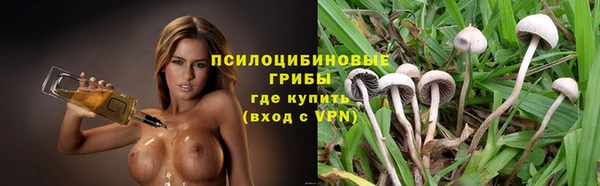 стаф Беломорск