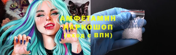 стаф Беломорск