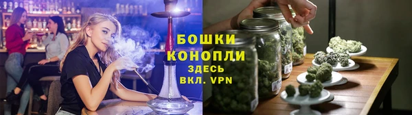 PSILOCYBIN Балабаново